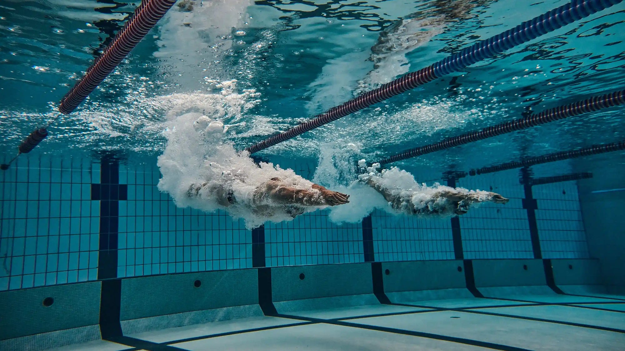 Coachs de natation et musculation hardeat athletic